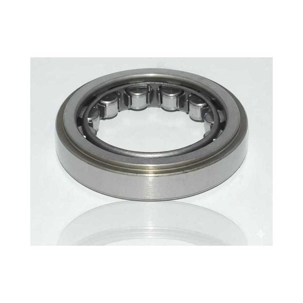 VP34-1 RICH | Cuscinetto a rulli cilindrici 34x58x13 mm (90365-34002)