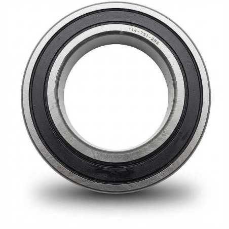 114-751 2RS RICH 45x75x19