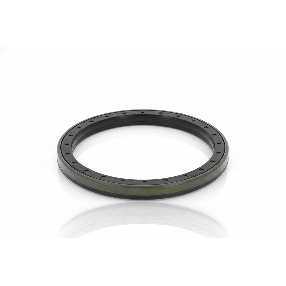Oil Seal RICH 136,8x165x13 KASSETTE S3 NBR