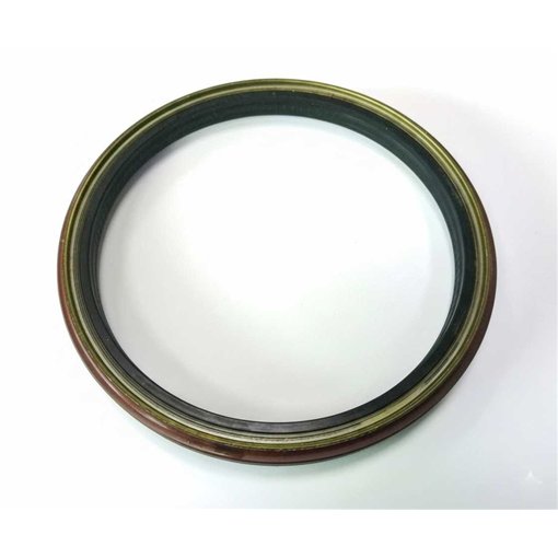 Oil Seal RICH 145x170x14,5/18 KASSETTE FPM
