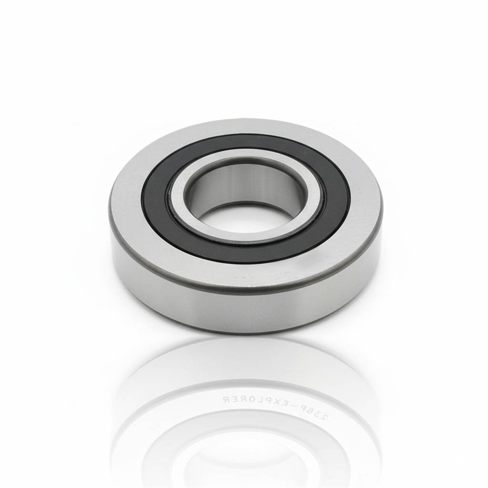 361205 R RICH 25x62x15