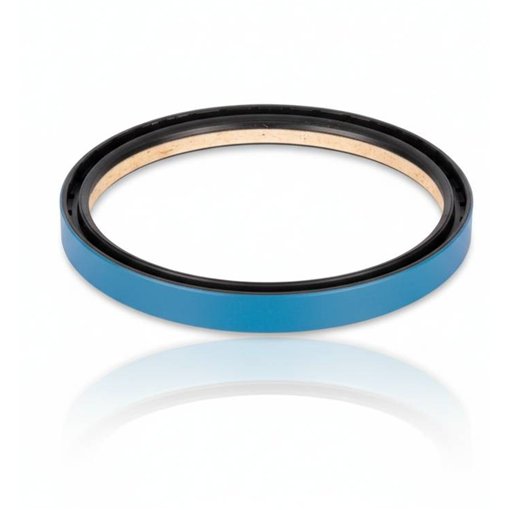 Oil Seal RICH 172x200x19 COMBI NBR