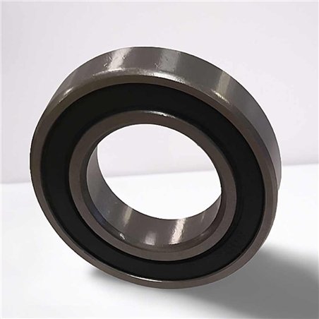 6005 2RS P6 RICH 25x47x12